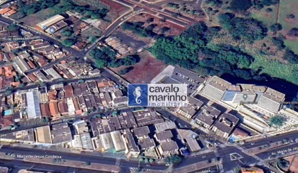 Terreno à venda, 3271 m² por R$ 3.300.000,00 - Jardim Palma Travassos - Ribeirão Preto/SP