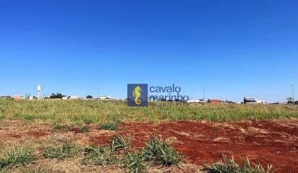 Terreno à venda, 400 m² por R$ 280.000,00 - Residencial Riviera Village - Cravinhos/SP
