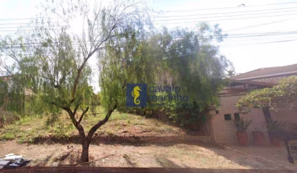 Terreno à venda, 490 m² por R$ 350.000 - City Ribeirão - Ribeirão Preto/SP
