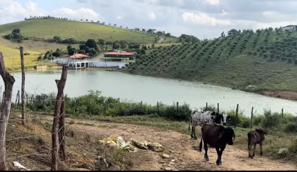 Ffazenda em vitória de santo antão com água abundante