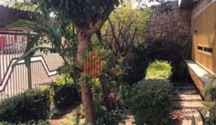 Casa térrea com  360m² na Patriarca a Venda
