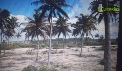 Terreno à venda, 15.500.000 m² por R$ 150.000.000 - Subaúma - Entre Rios/BA