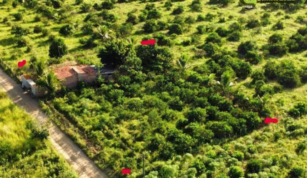 Terreno à venda, 2126 m² por R$ 150.000 - Centro - Cruz das Almas/BA