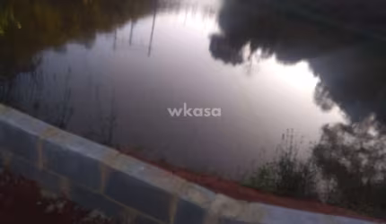 Chácara em    -  Santa Teresa