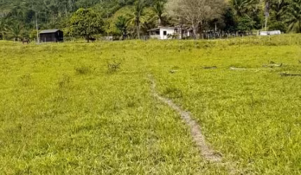 FAZENDA BOA PARA PECUARIA OPORTUNIDADE
