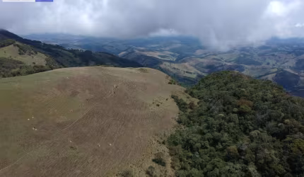 Sítio para Venda em Silveiras, Alto da Bocaina Macacos