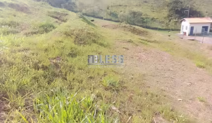 TERRENO NO BOSQUE DO HORTO