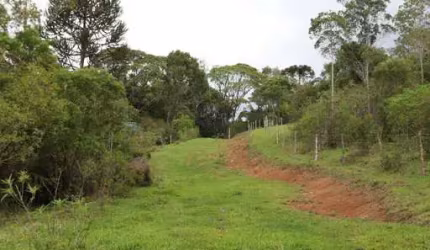 Chácara / sítio à venda na ESTRADA GERAL, Penha, Paulo Lopes por R$ 3.900.000