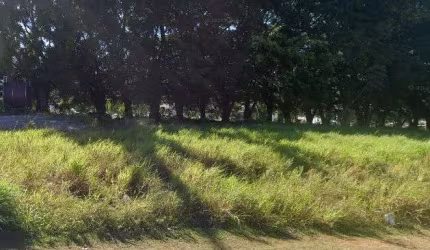 TERRENO COM ÁREA 800 M QUADRADOS COM VIABILIDADE 08 PAVIMENTOS
