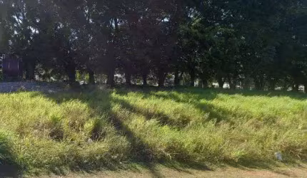 TERRENO COM ÁREA 800 M QUADRADOS COM VIABILIDADE 08 PAVIMENTOS