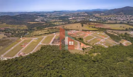 Lote Elementum