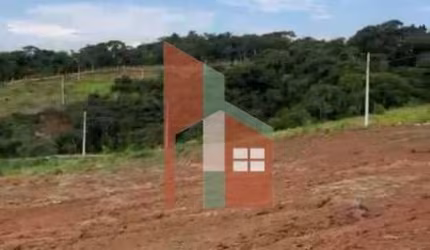 Lote Elementum