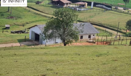 5, Alqueire/Chácara Completa à 40min Curitiba/Barracão/Casas/ R$ 3.998.000