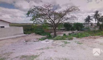Terreno à venda, 708 m² - Palmeira - Campina Grande/PB