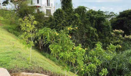 Casa com 3 dormitórios à venda, 250 m² por R$ 1.200.000,00 - Zona Rural - Lagoa Seca/PB