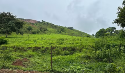 Sítio para Aluguel  sem benfeitorias (não há construções no local)– Estrada da Penha, a 20 minutos do Centro de Governador Valadares