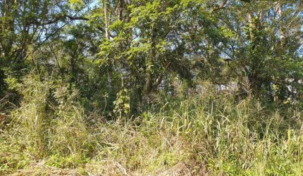 Terreno à venda, 614 m² por R$290.000,00 - Santa Terezinha - Itapoá/SC