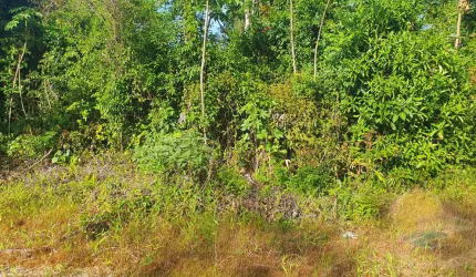 Terreno à venda, 192 m² por R$48.000,00 Balneário Alvorada Itapoá Sc.