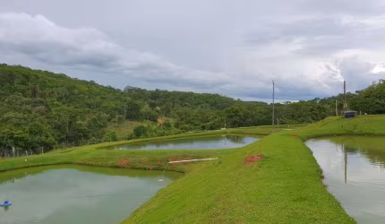 Chácara 24,5 hectares em Orizona - GO