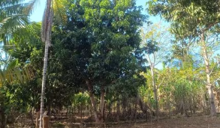 CHÁCARA À VENDA EM GOIANIRA DE 1420,00m²
