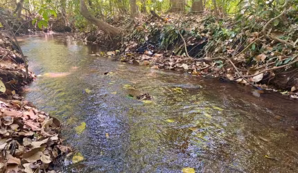 Vende-se excelente Chácara em Bela Vista de Goiás