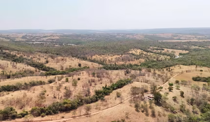 Fazenda 8,2 alqueires em Caldas novas