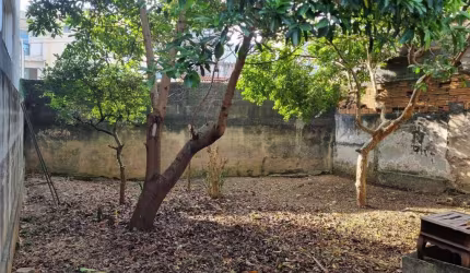 Excelente oportunidade: Terreno à venda em São Paulo-SP, Jardim Santa Adélia, 3 quartos, 2 salas, 1 banheiro, 4 vagas, 306,50 m².