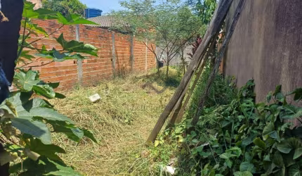 Terreno à venda, 250 m² por R$ 395.000,00 - Vila Amorim - Suzano/SP
