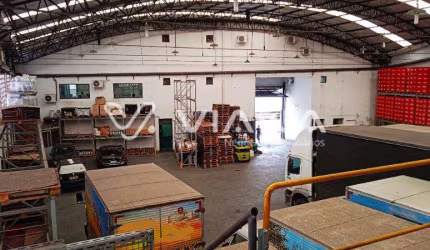 Galpão, Vila Califórnia - S.P.