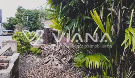 Terreno amplo no Bairro Santa Maria em São Caetano do Sul