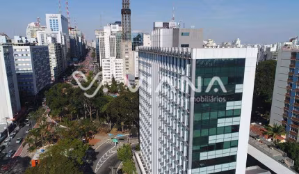 Conjunto Comercial Bairro Higianopólis São Paulo SP