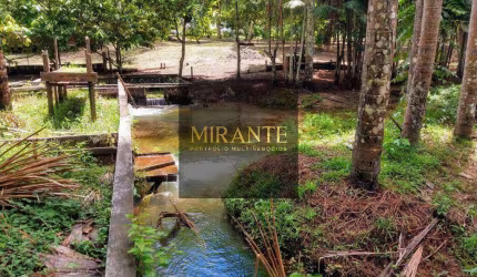 MARARU, SANTARÉM-PA Área de 29.680,12m² com diversas benfeitorias VENDA