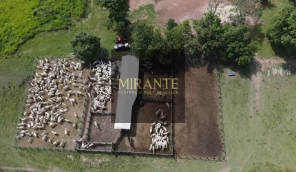 Fazenda em Alenquer-PA VENDA