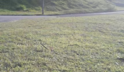 Terreno em condomínio fechado à venda na Itatiba Country Club, 1, Condomínio Country Club, Itatiba por R$ 350.000