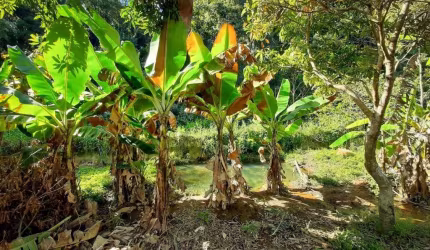 Chácara à venda no Condomínio Recanto Florido em Vinhedo/SP