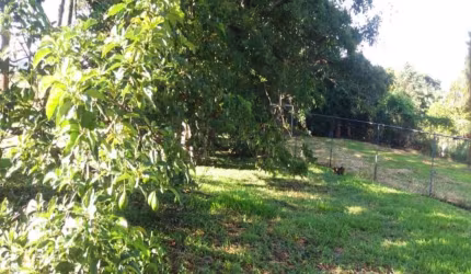 Chácara à venda no CHÁCARAS ALPINA em Valinhos/SP
