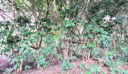 Terreno à venda no Buracão em Vinhedo/SP