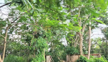 Terreno com 1.546 m2 à venda em Colinas de San Diego, Vinhedo/SP