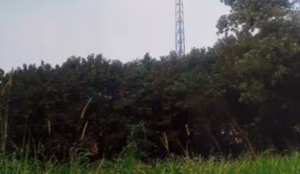 Área para aluguel no Santa Elisa em Valinhos/SP