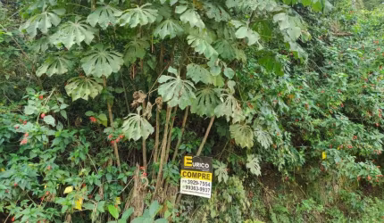Terreno à venda no Parque Valinhos em Valinhos/SP