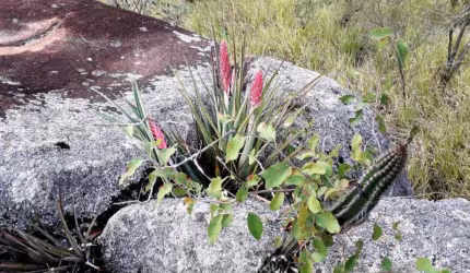 Terreno à venda no Parque Valinhos em Valinhos/SP