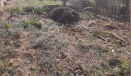 Terreno à venda no Jardim Parque Portugal em Valinhos/SP