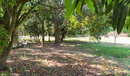 Terreno à venda no Centro em Santa Maria da Serra/SP