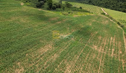 Fazenda à venda no Cachoeira do Carmo em Botelhos/MG