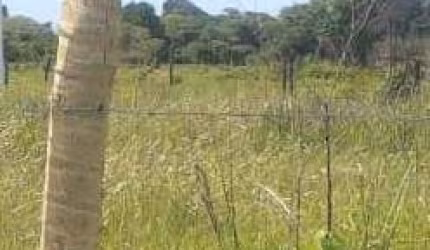 Prédio Comercial à venda no Bairro Paraíso dos pescadores em SÃO SEBASTIÃO DA BELA VISTA/MG