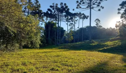 TERRENO EM CONDOMINIO FECHADO NO CAMPO LARGO, 1.060,12 m2, OPORTUNIDADE