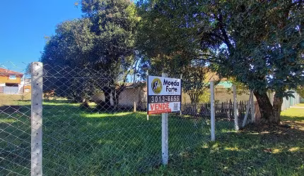 TERRENO, SANTA FELICIDADE/BUTIATUVINHA, 705,34 M2, PLANO, LINDO CAMPO, PARA CONSTRUIR UMA BELA RESID