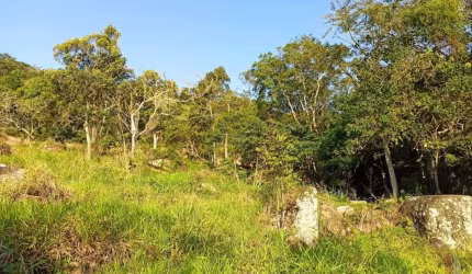Terreno para Venda em Florianópolis, Sambaqui