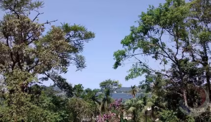 Terreno para Venda em Florianópolis, Lagoa Da Conceição