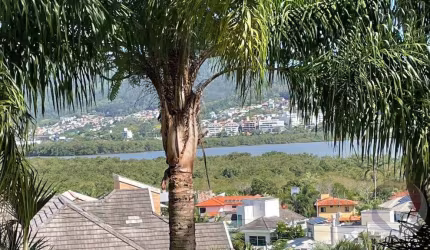 Terreno para Venda em Florianópolis, Cacupé